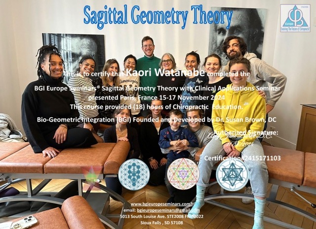 BGI®Europe Sagittal Geometry Volumes and Spirals
