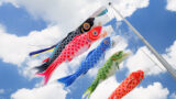5月のイメージ 鯉のぼり