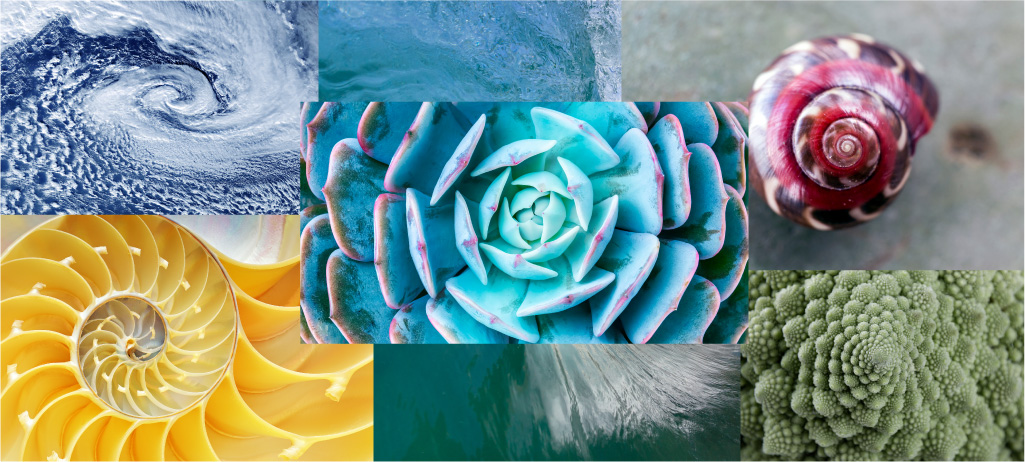 カイロプラクティック自然界の法則