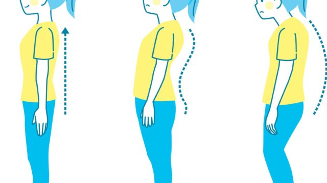 反り腰を含む3つの姿勢を横から見たイラスト。背骨のカーブの違いを比較している